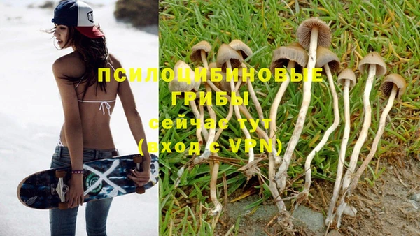 гашиш Алзамай